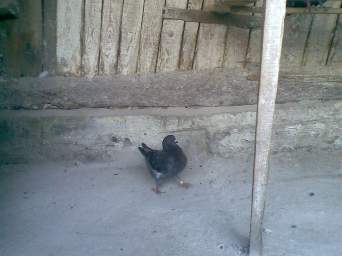 24122013(003) - Kingi