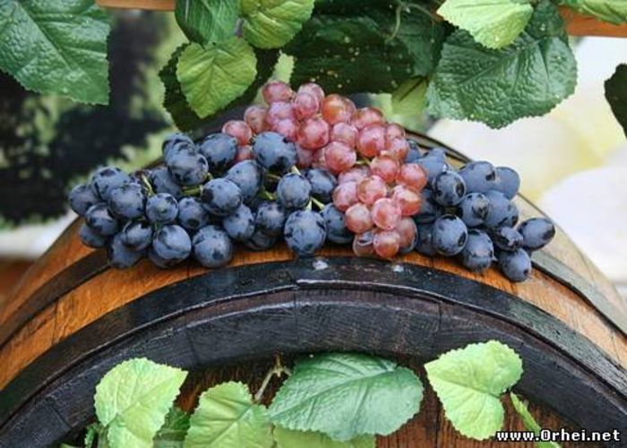 88472110 - VIN ROSU SI NEGRU PT SARBATORILE DE IARNA-HAIDETI SA PETRECEM