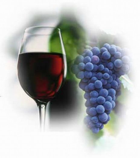 Vin-rosu-struguri - VIN ROSU SI NEGRU PT SARBATORILE DE IARNA-HAIDETI SA PETRECEM