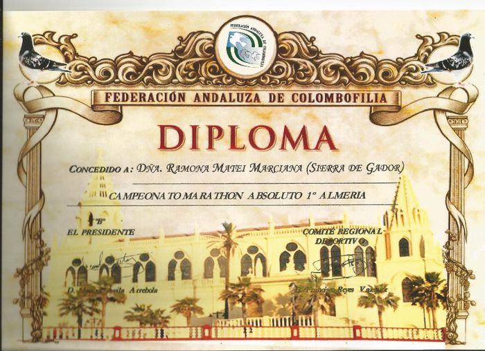 LOC 1 CAMPEONATO MARATHON ABSOLUT