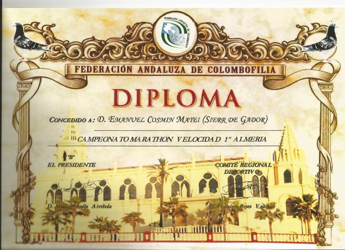 LOC 1 MARATHON VELOCIDAD(MARATON VITEZA) - REZULTATE 2013