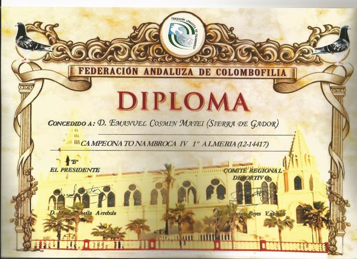 LOC 1 NAMBROCA 4 - REZULTATE 2013