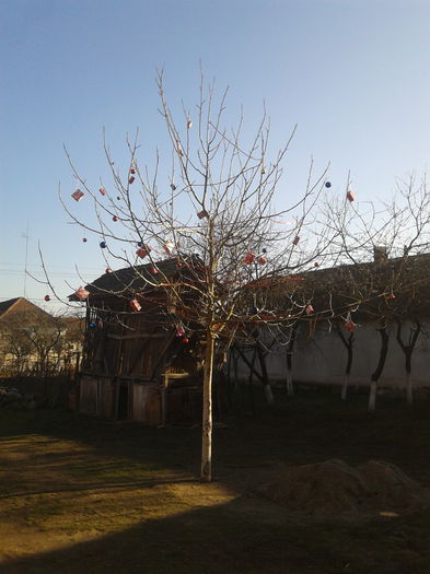 20131225_135210