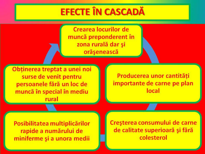 Slide27 - CUNICULTURA - intreprindere sociala