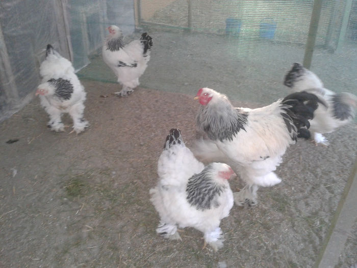 2013-12-25 15.51.22 - MATCA 2014