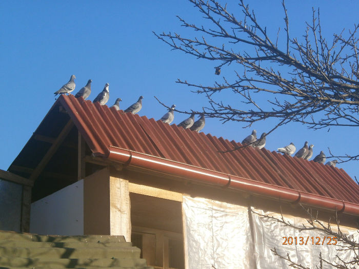 tot noi suntem ne pregateam sa fraierim uliu la o tura sa ne dezmortim