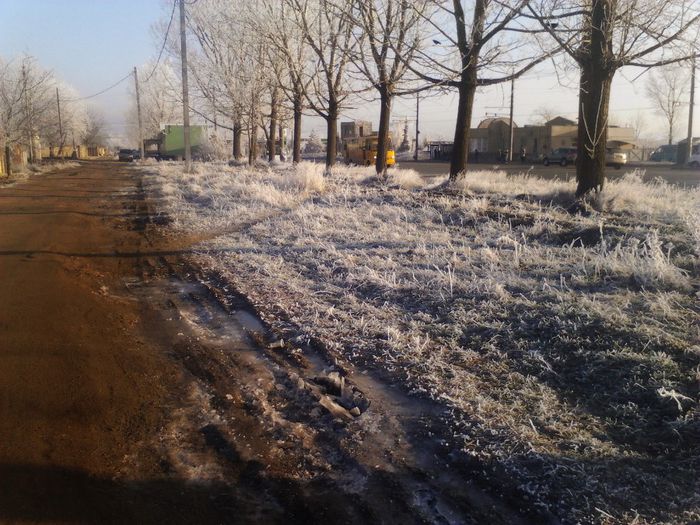 IMG_20131221_091931_194