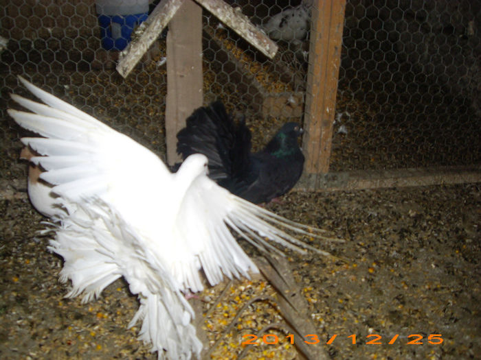 IMG_4611 f 2010,m 2012