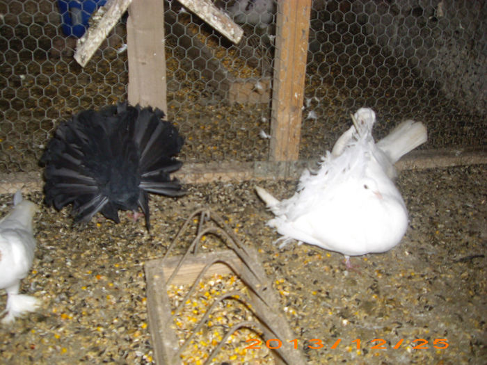 IMG_4612 m 2012,f 2010