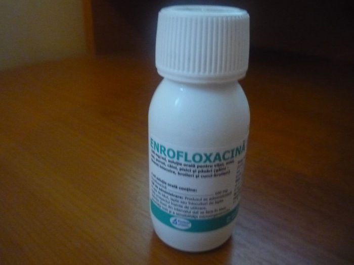 ENROFLOXACINA - Medicamentele la iepurii mei