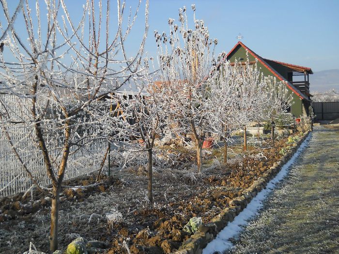 009 - de prin jurul casei