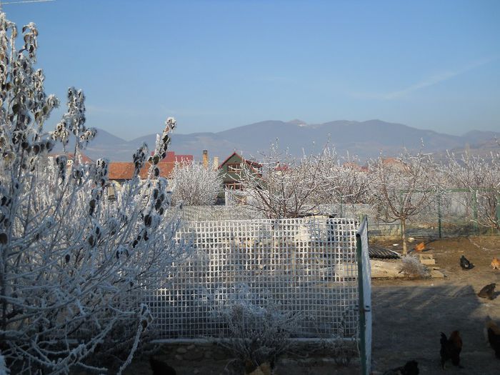 027 - de prin jurul casei