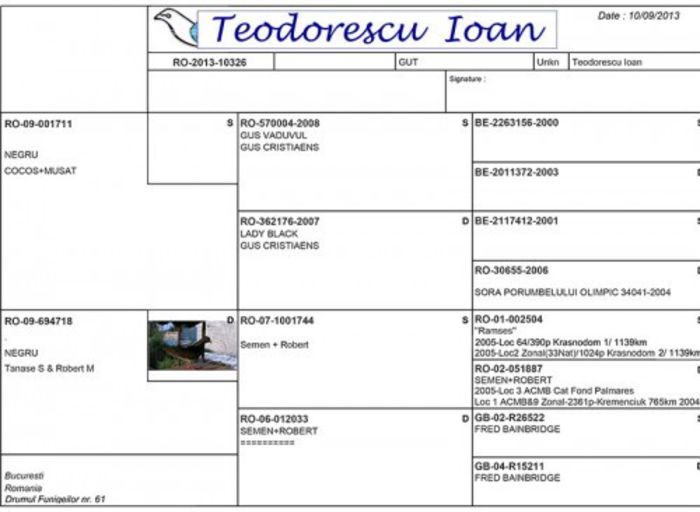 Pedigree loc 3 Columbodrom Piatra Neamt - MATCA