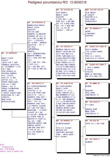 Habaci Calin -nepot Campioana Romaniei Maraton Palmares 2011 - MATCA