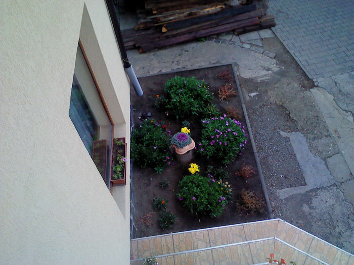 DSC00033 - FLORILE  MELE