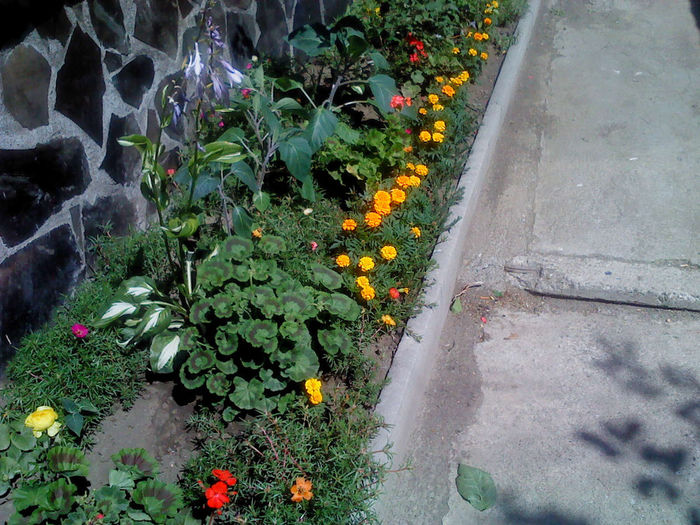 DSC00125