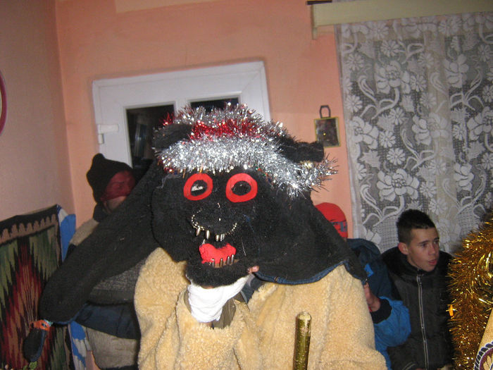 capra la craciun 002