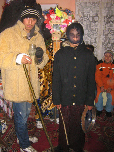 capra la craciun 004