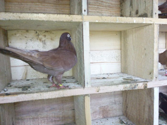 IMG_20131226_130336_865