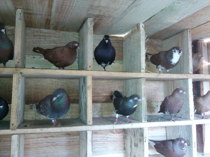 IMG_20131226_130527_446