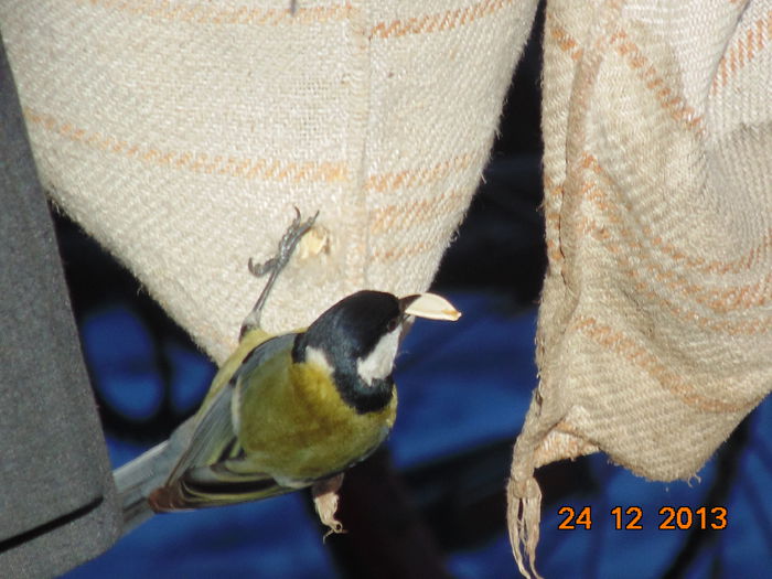 DSC00046 - De prin natura