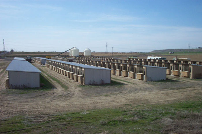 farm001