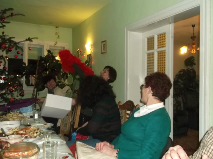 CE-O MAI FI CURCANUL ASTA ??