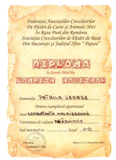 Diploma Combatanta malaiezeana potarniche - Rezultate Expozitie 2013