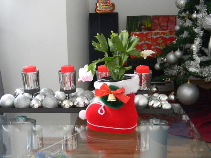 22.12.2013 - FLORILE MELE