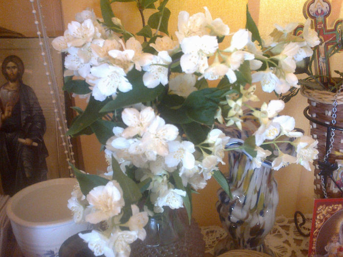 280520133204 - florile mele