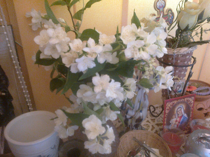 280520133205 - florile mele