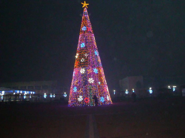 DSC03795
