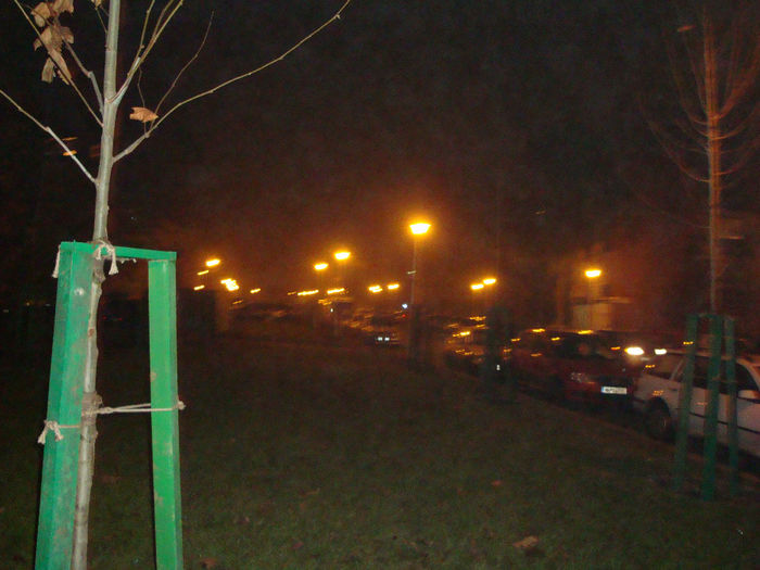 DSC03862