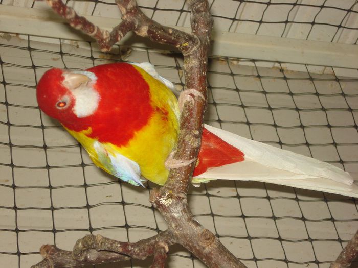 DSC05657