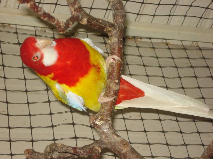 DSC05658