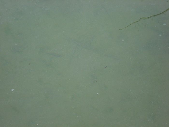 DSC05674