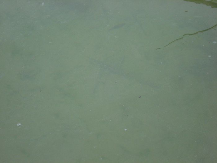 DSC05675