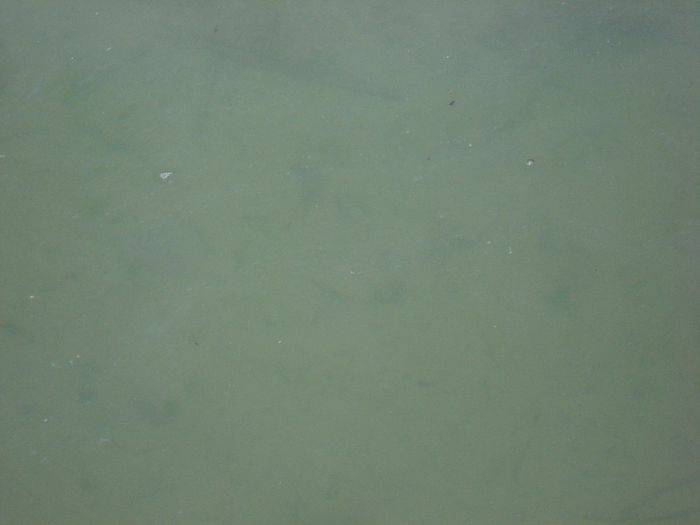 DSC05682