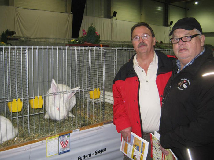 de vanzare 3 masculi uriasi