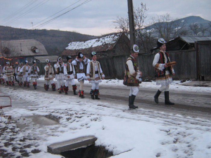 archeneaua si alunelul 001