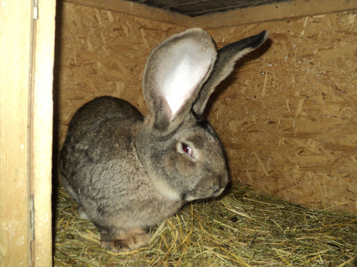 DSC02224 - ACHIZITII 2014