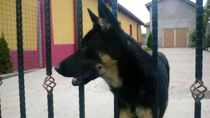 988730_360674057400506_1821755042_n