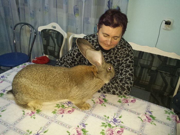 8 luni prima tura din februarie