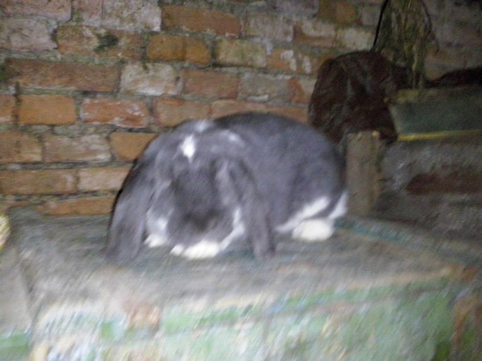 CAM00491
