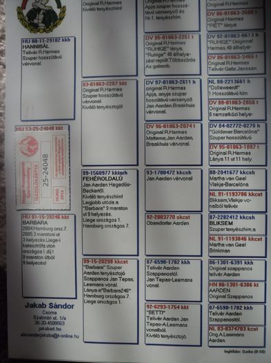 SAM_6520 - Cateva Pedigree