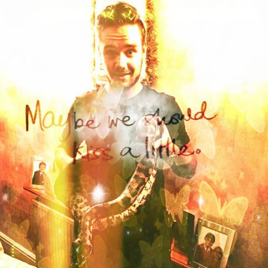 29 - 12 - 2013 - DAY 59 - Liam Payne