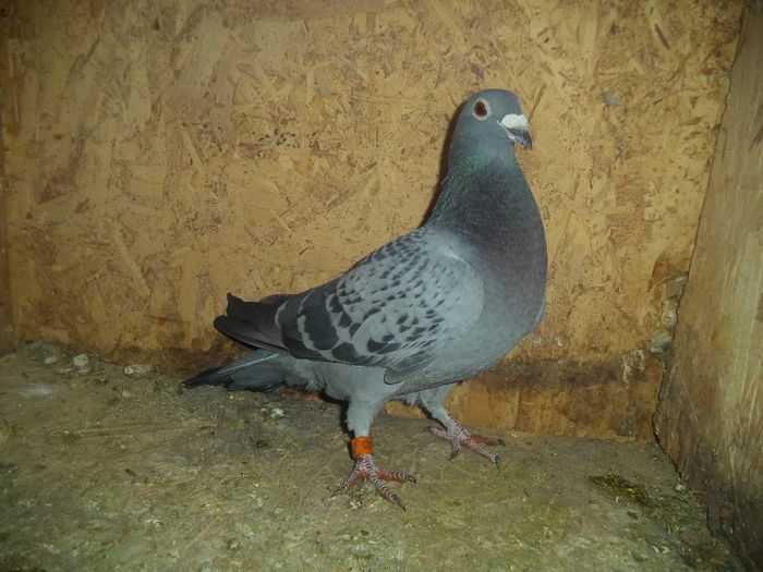 DSC01686