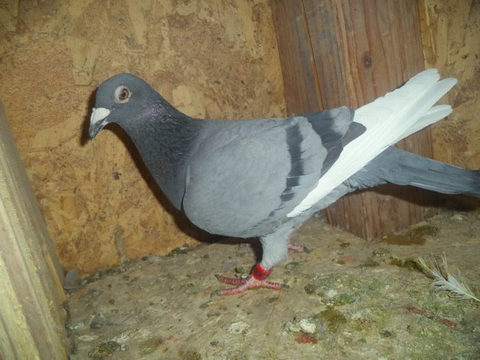 DSC01716