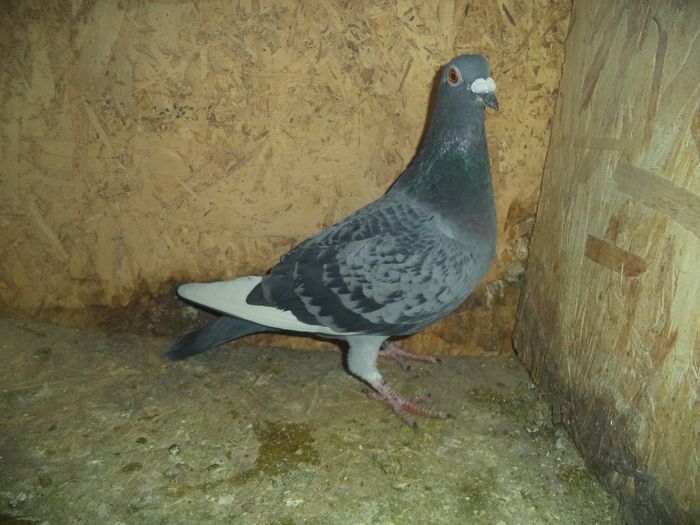 DSC01725