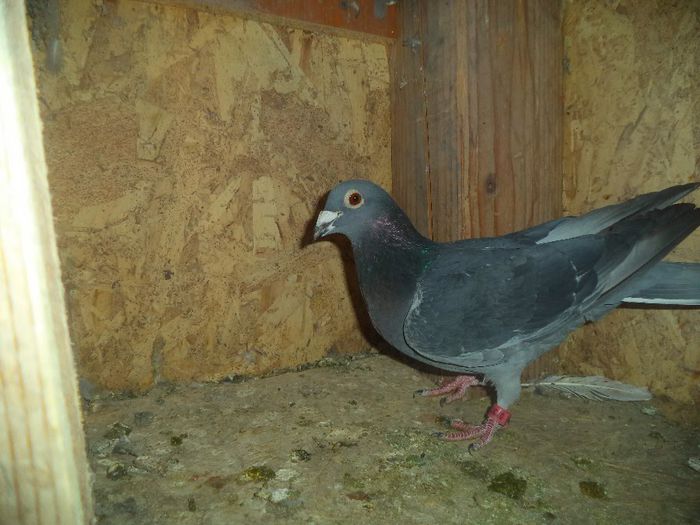 DSC01746